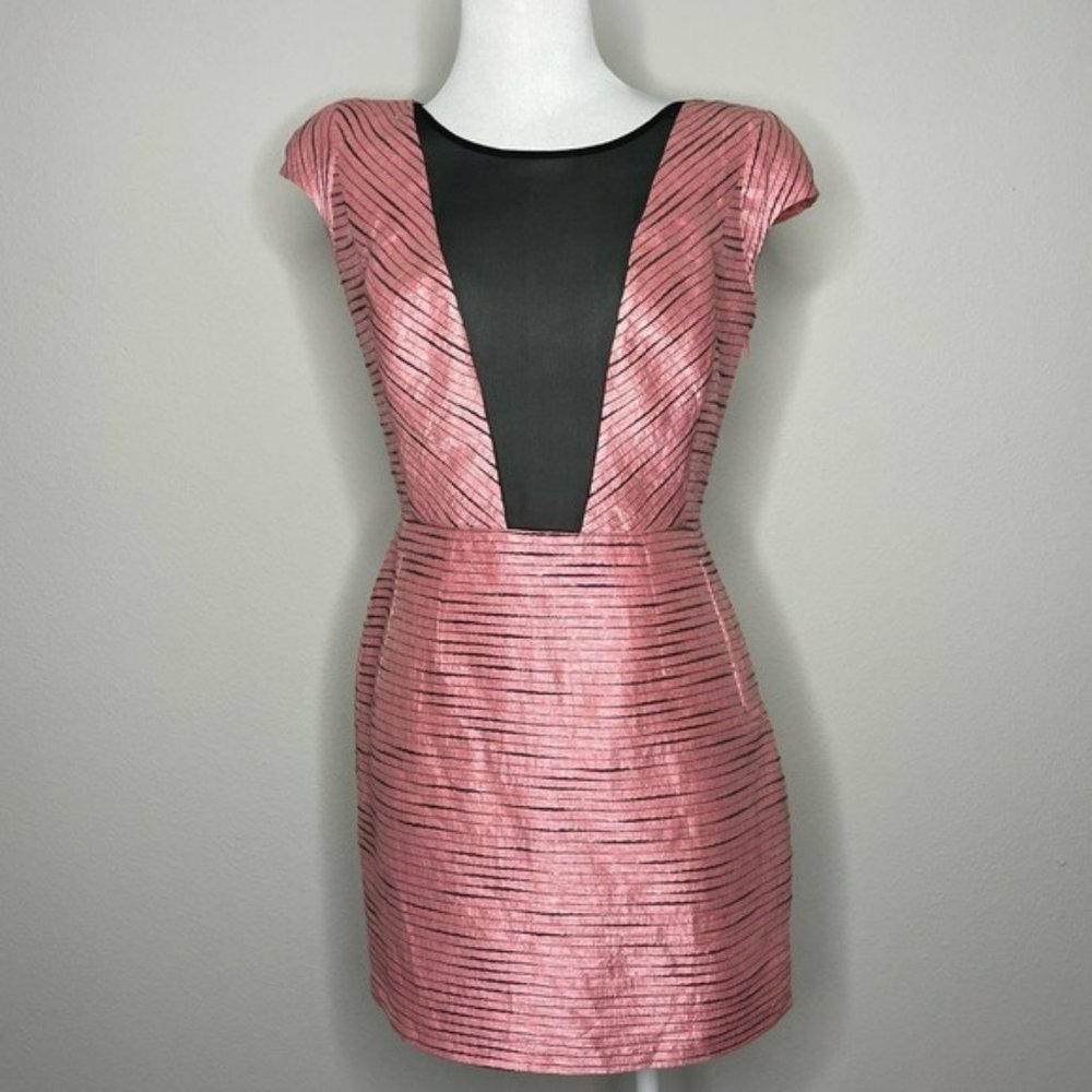 Stella & Jamie Pink Plunge Illusion Mesh V Neck Dress Small